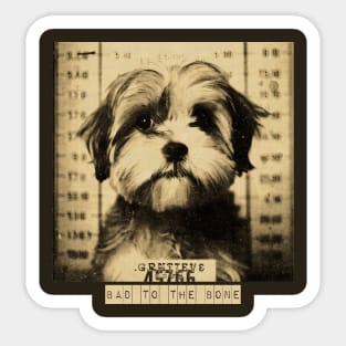 Bad to the Bone: A Mugshot of a Criminal Shih Poo Dog" Sticker